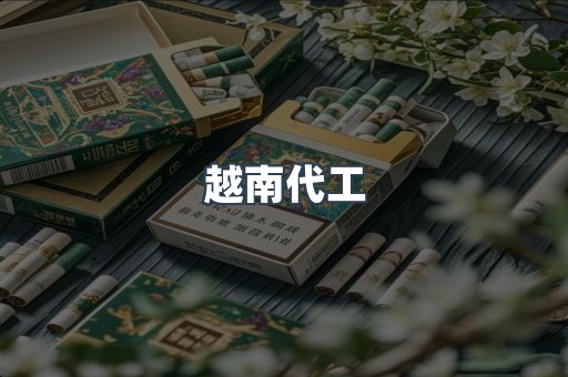 越南代工